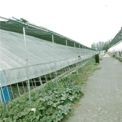 青海農業新篇章 探訪旭航溫室第五代智能溫室大棚建設