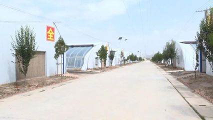 科技賦能，高效發展 本市現代農業溫室建設穩步推進